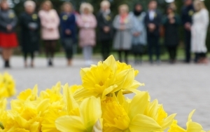  „Święto żółtego żonkila” w Wojkowicach (13)