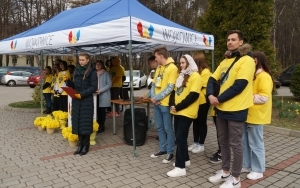  „Święto żółtego żonkila” w Wojkowicach (15)